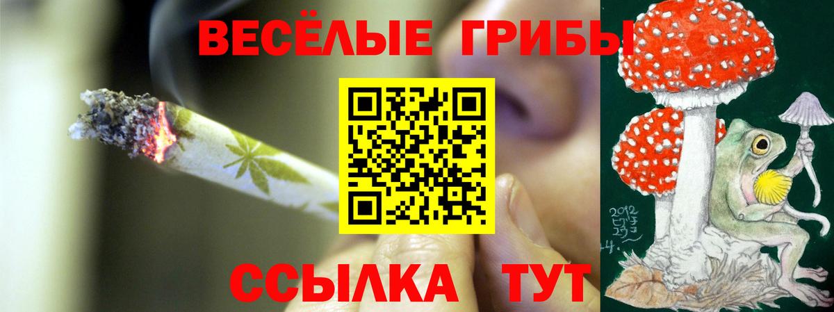 Галлюциногенные грибы Magic Shrooms  Галлюциногенные грибы GOLDEN TEACHER  Вход с VPN  Светлоград 